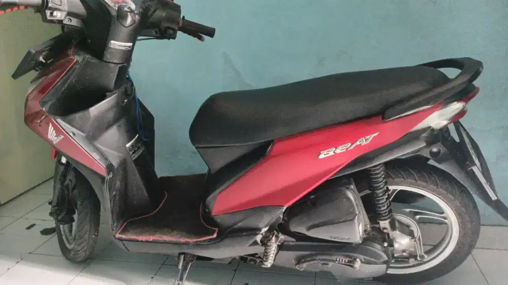 Beat THN 2013 F1