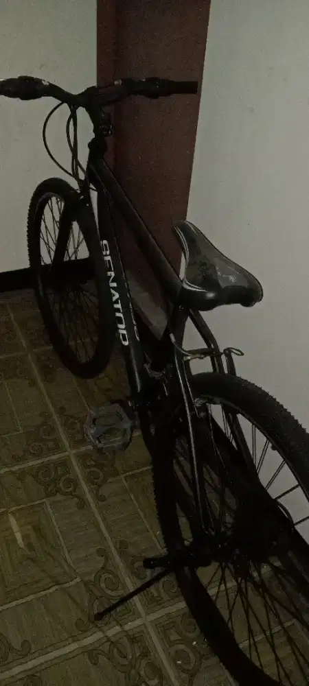 sepeda gunung/mountain bike merk SENATOR ( pakai gigi ))
