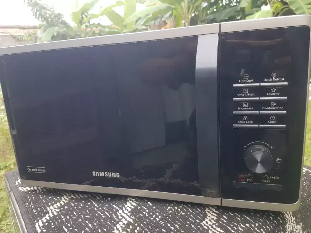 Samsung Microwef oven cramic inside