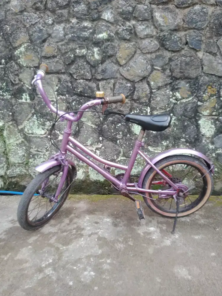 Sepeda anak UK 16