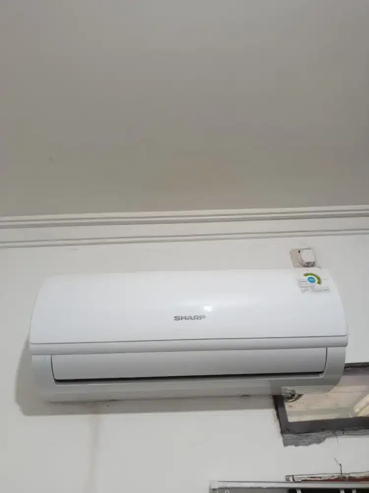 Ac sharp 1/2 pk