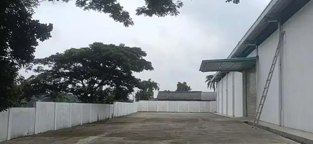 Gudang terluas dan terbagus lokasi dan harga,tidak banjir,jalan lebar.
