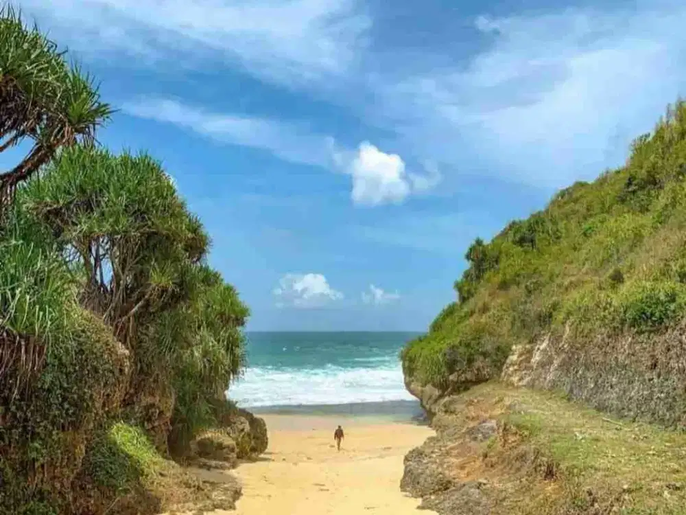 TANAH PANTAI GUNUNGKIDUL