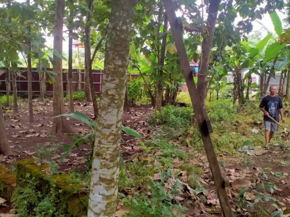 Tanah Pekarangan di Pinggir Jalan Sekarsuli Berbah