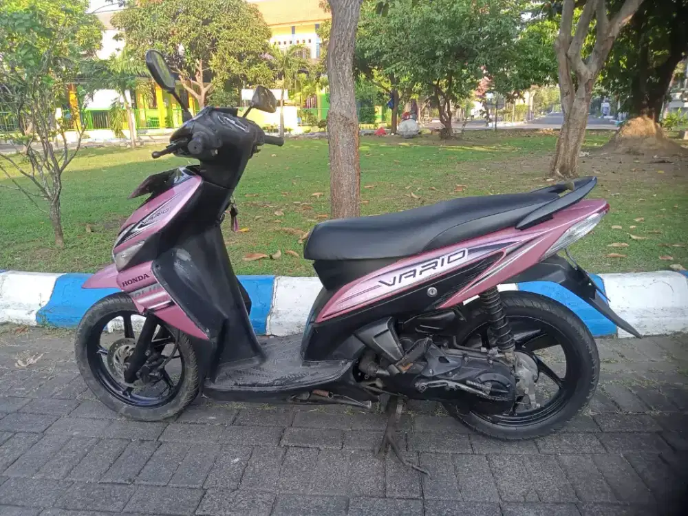 Vario th 2009 terawat