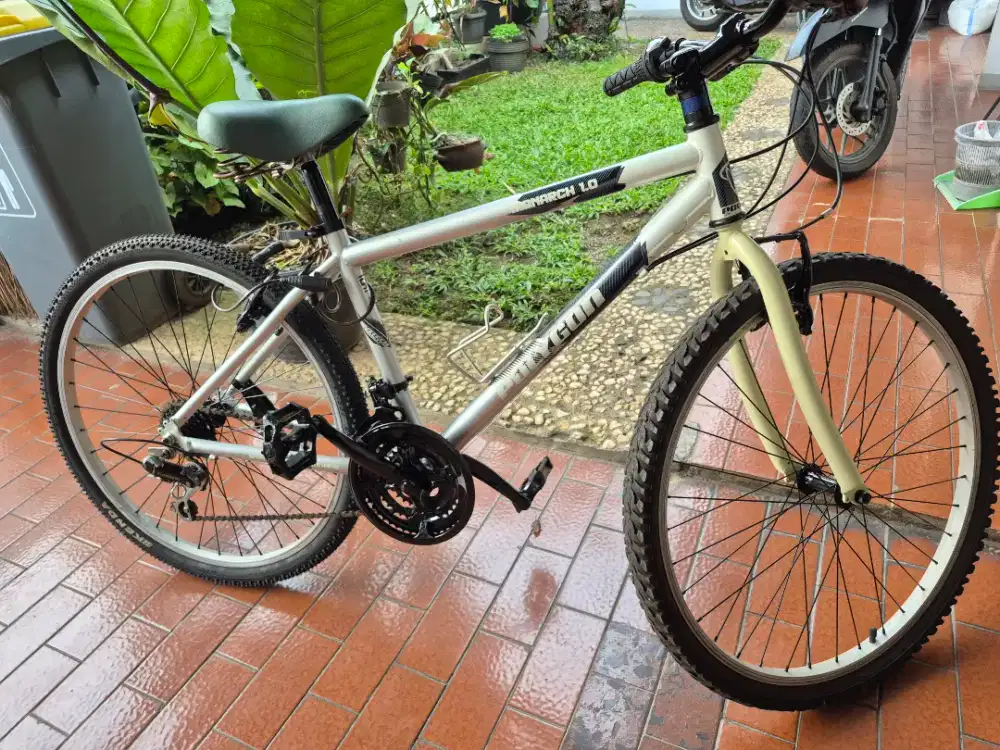 Sepeda Polygon Monarch 1