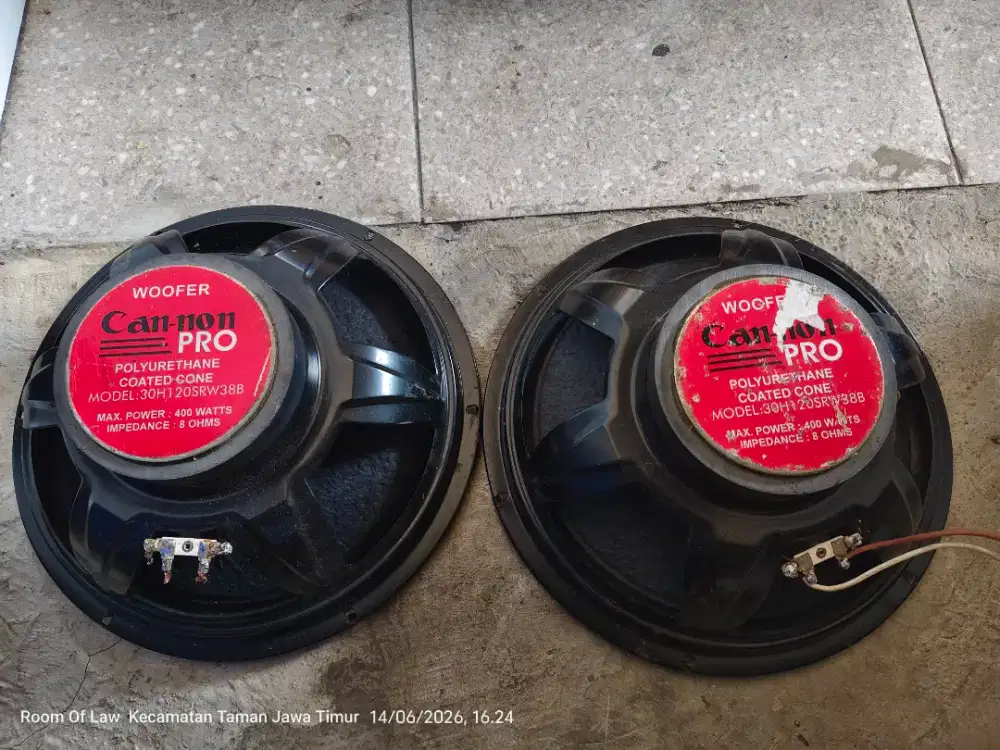 speaker canon 12 inch