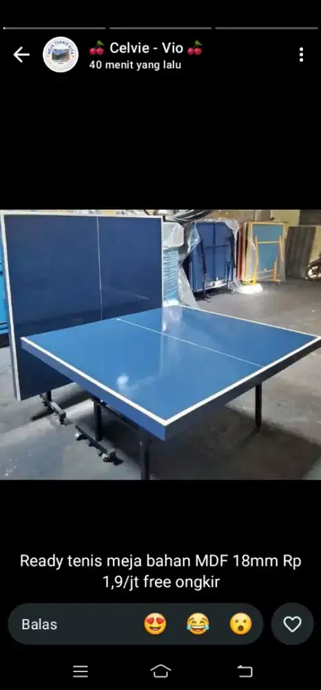 Tenis meja baru