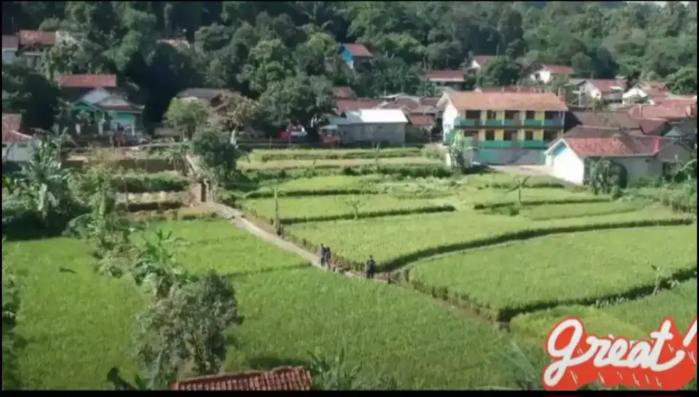 Sewa Jual Tanah Sawah Kolam ikan Kebun Karang Tengah Cibadak Sukabumi