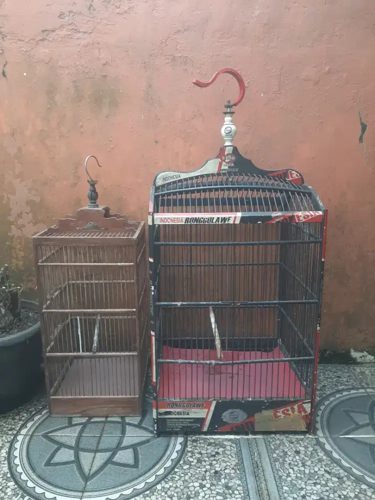Kandang kotak ni 2