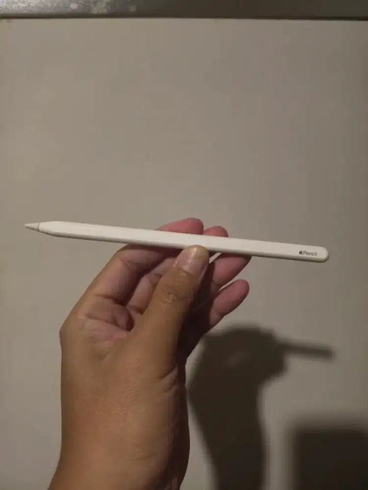 Apple Pencil Gen 2 Ex. Inter