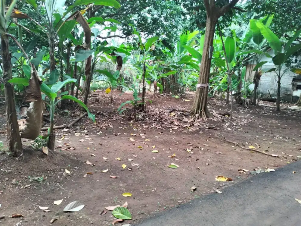 Dijual Tanah Lokasi Bagus SHM di Sukamaju Jonggol