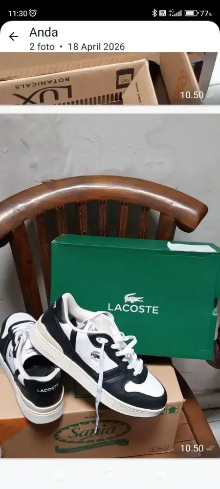 Sepatu ORI lacoste