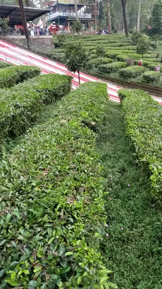 Kerja apa saja yg penting