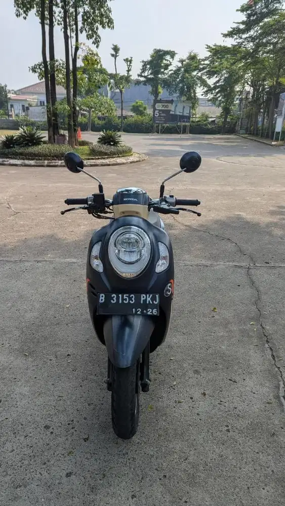 Scoopy fashionn