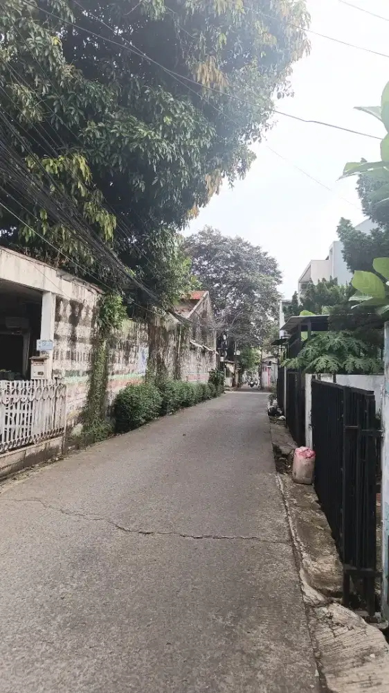 cari art di rumah