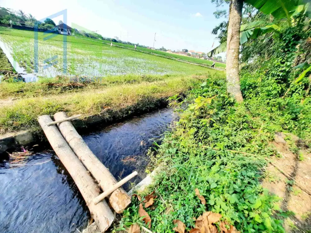 Dijual rumah dengan pemandangan sawah dan aliran sungai jernih di Boyolali