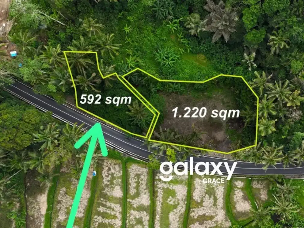 DIJUAL TANAH DESA KENDERAN KEDISAN TEGALALANG GIANYAR