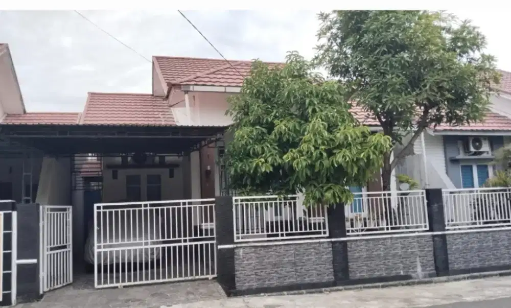 Graha sang pakar