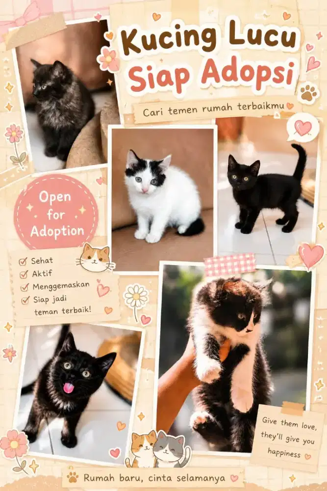 Kitten Lucu dan Sehat Siap Dirawat - Open Adopsi ke Rumah Baru