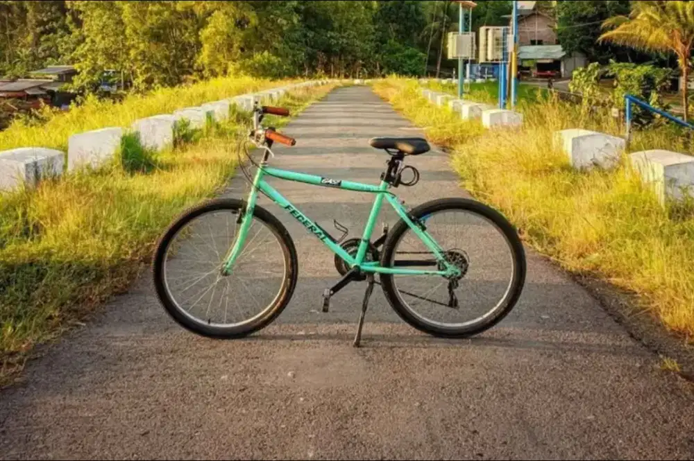 Sepeda commuter decal federal size 17
