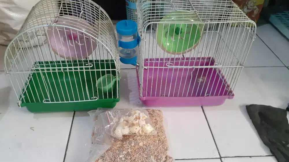 Kandang hamster + makanan
