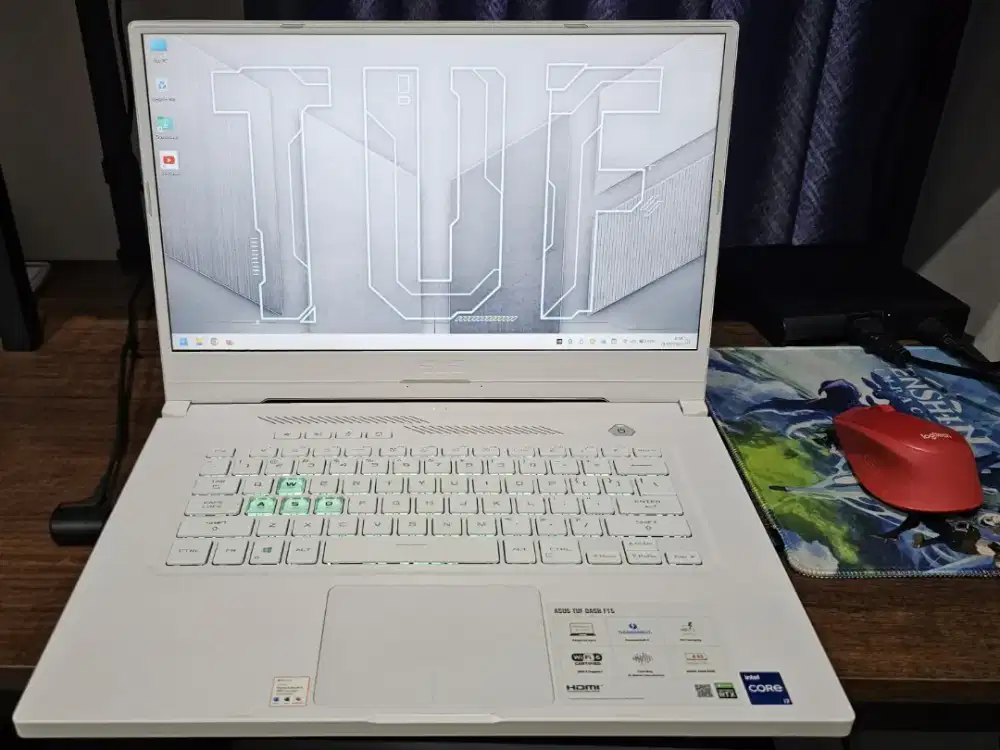LAPTOP ASUS FX516PC - I735B6W-O