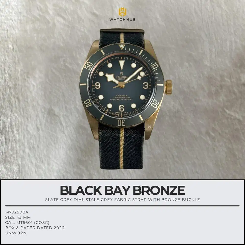 Tudor Black Bay Bronze M79250BA