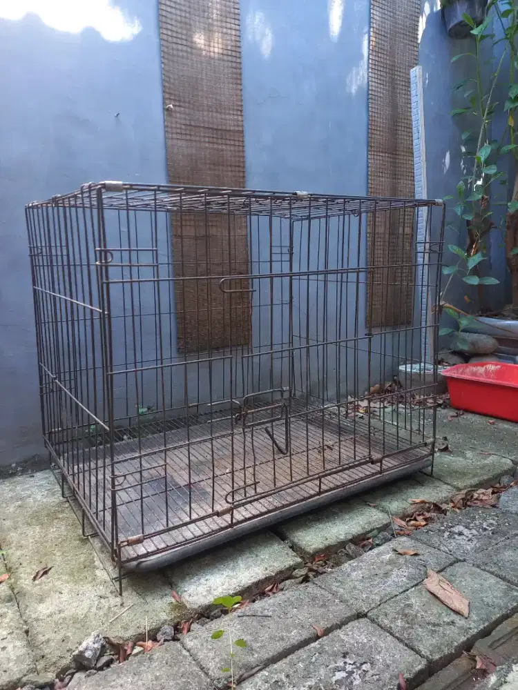 Kandang Kucing Uk. Jumbo Tebal