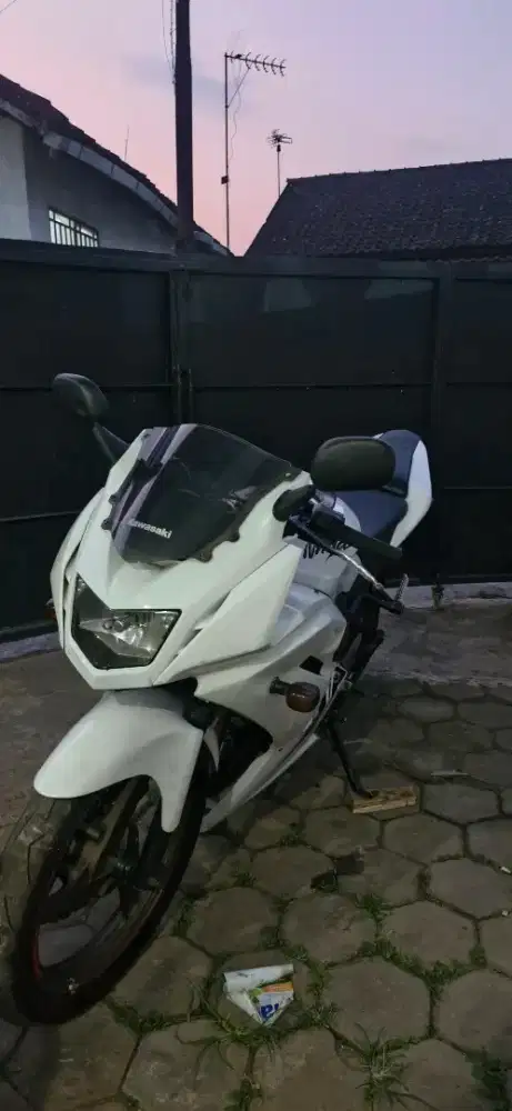 Ninja RR 2013 SE