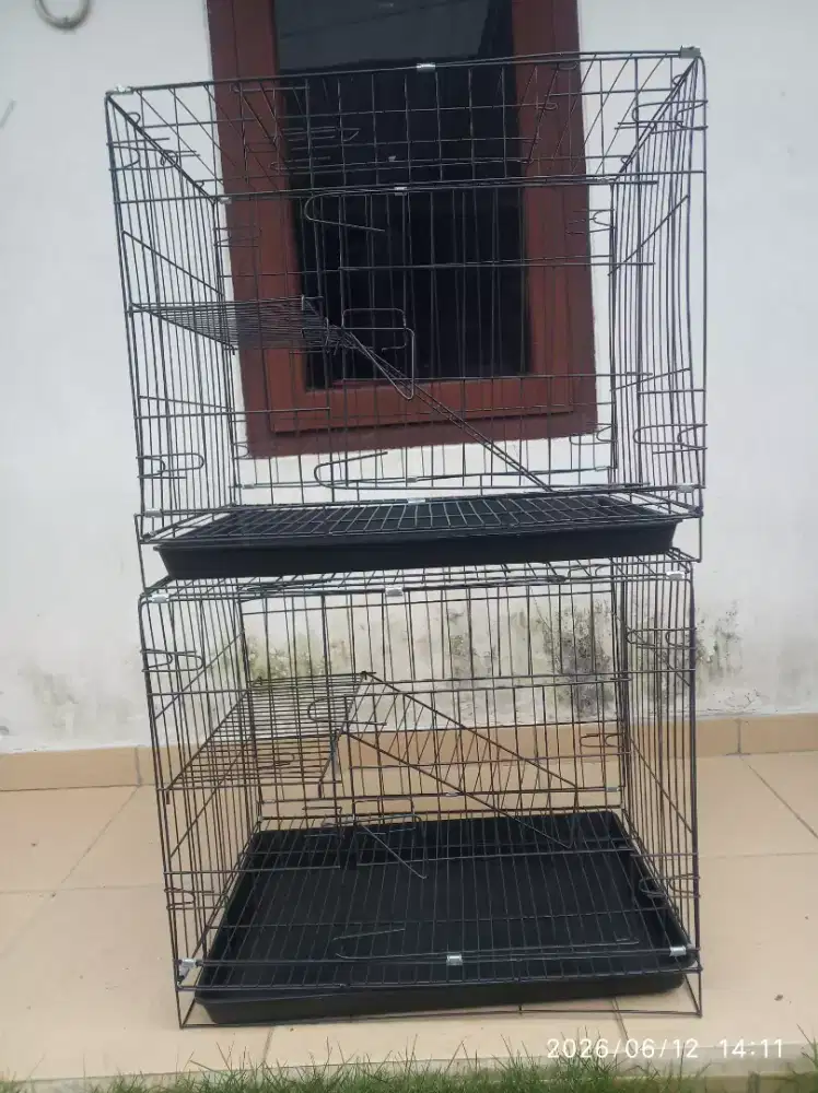kandang kucing ukuran 60