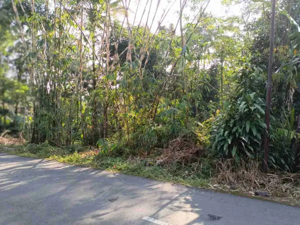 Tanah kosong pinggir jln utama Baturaden Timur Gandatapa Sumbang Banyumas