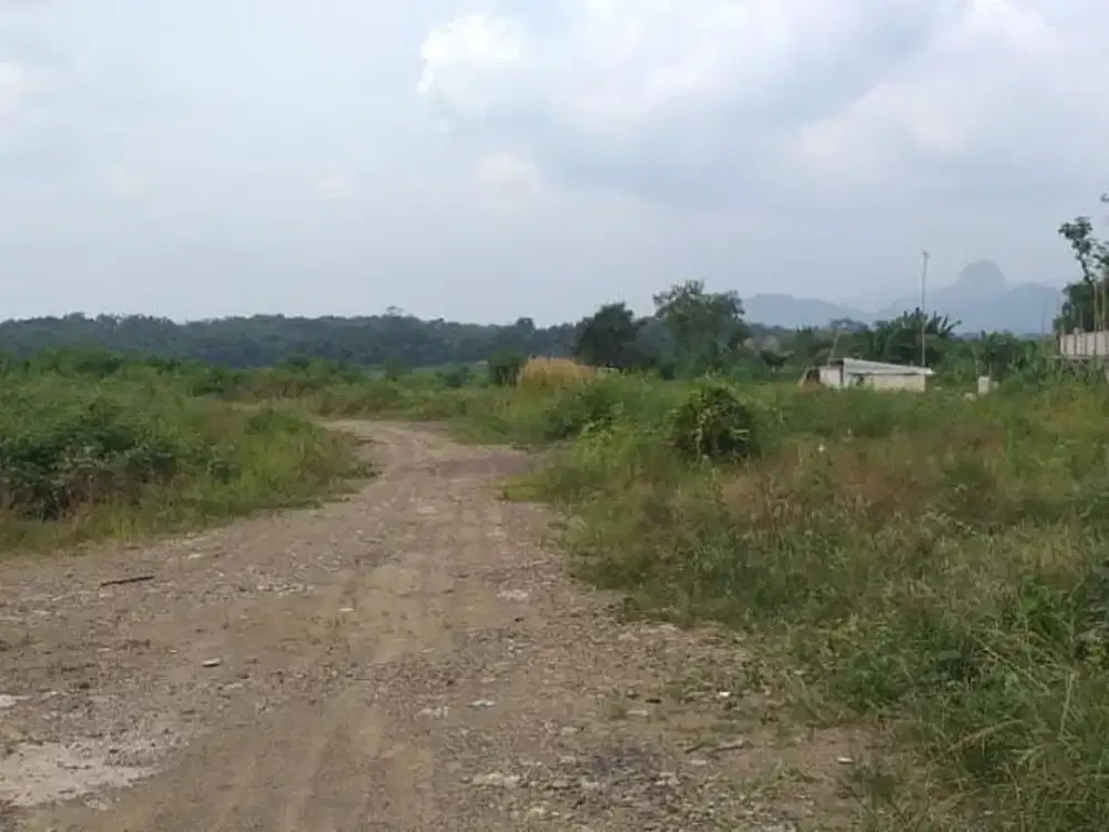 Dijual Tanah SHM Luas 2 HA Cariu Jonggol