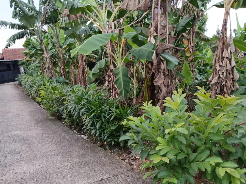 Kavling Strategis 7 Menit The Park Sawangan Free SHM Harga Promo