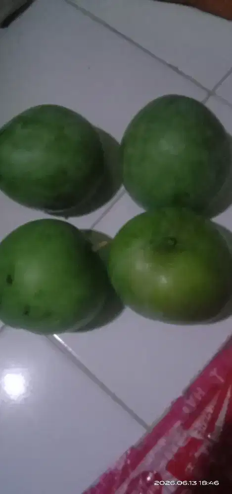 Mangga apel mengkel ada 4buah gede2 beratnya kurang lebih 3kg