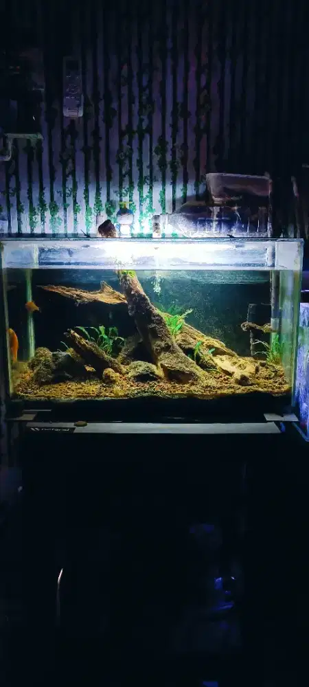 Aquarium full SET