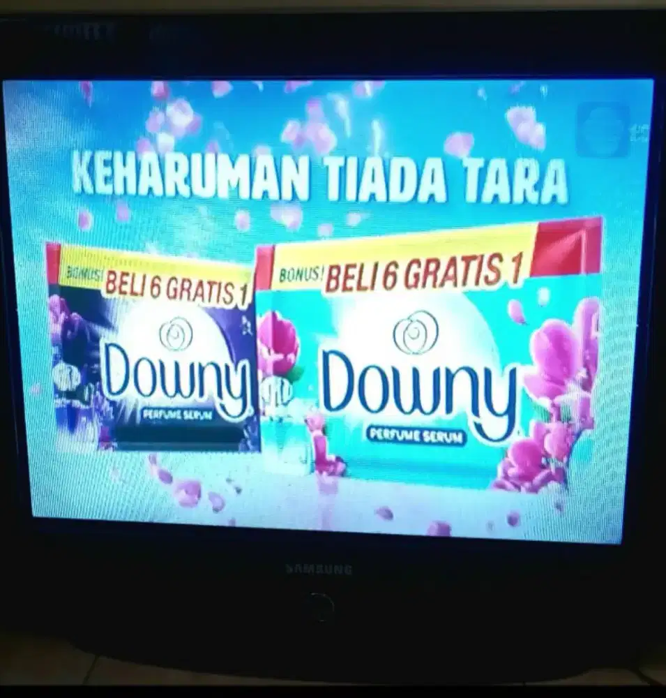 Jual tv SAMSUNG SLIM 29 inc d antar
