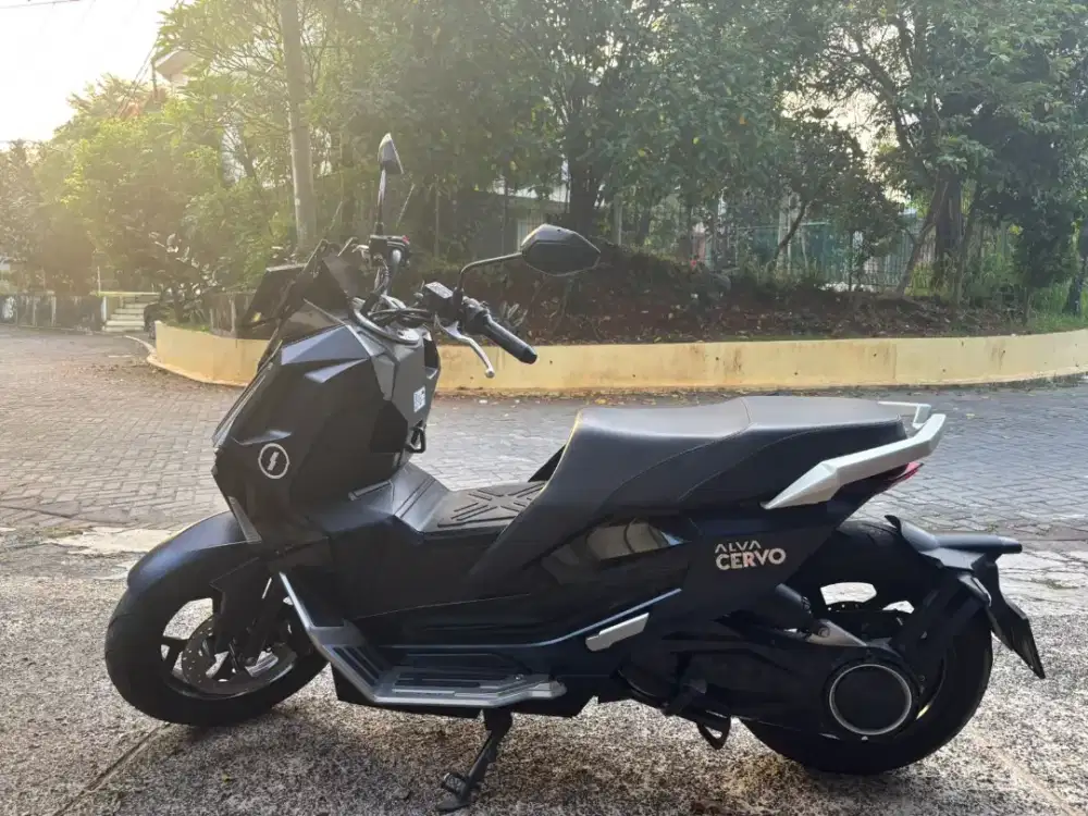 Alva Cervo 2024