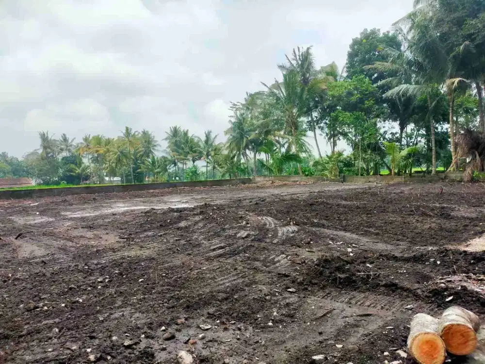 DIJUAL TANAH SHM READY . Tanah Perbatasan Jogja Klaten . View Sawah