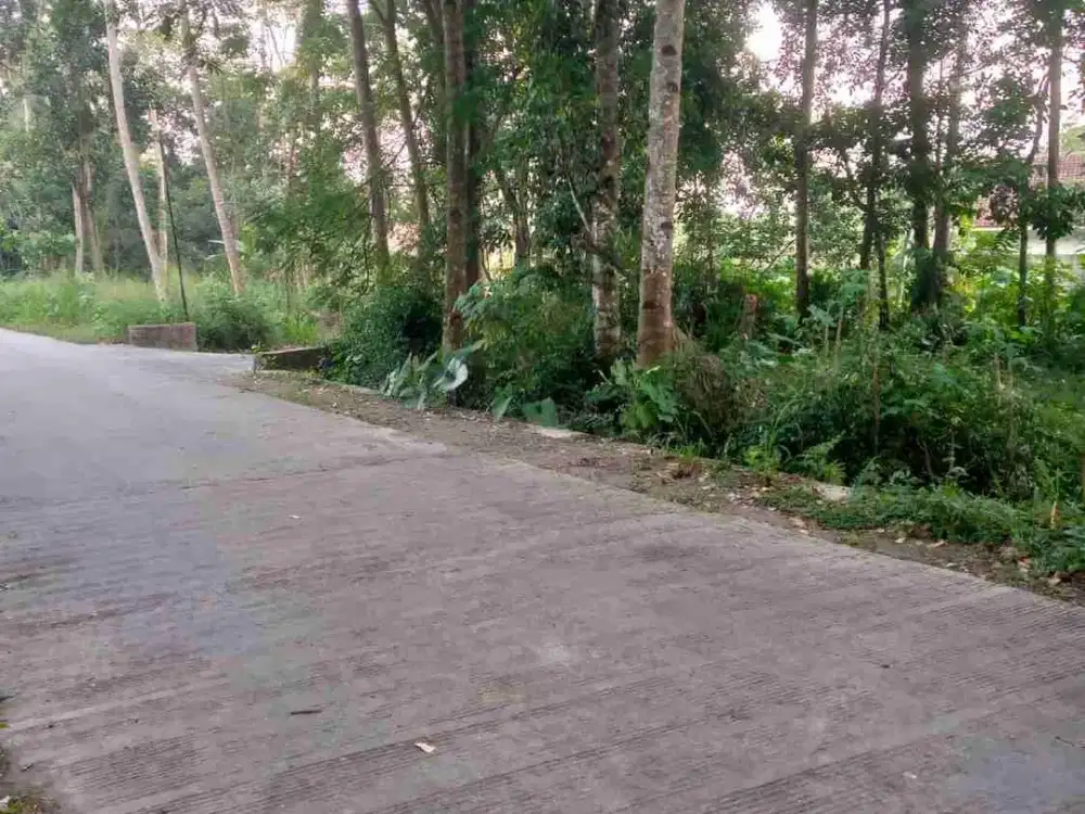 Dijual tanah tegalan kemalang klaten luas 980m