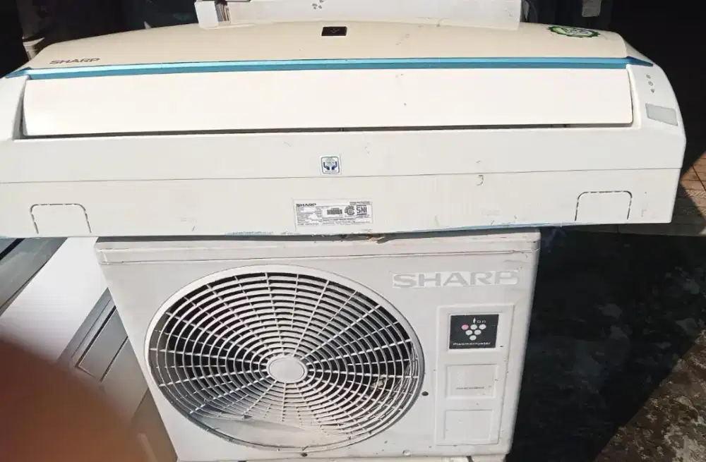 AC Sharp 1 PK normal