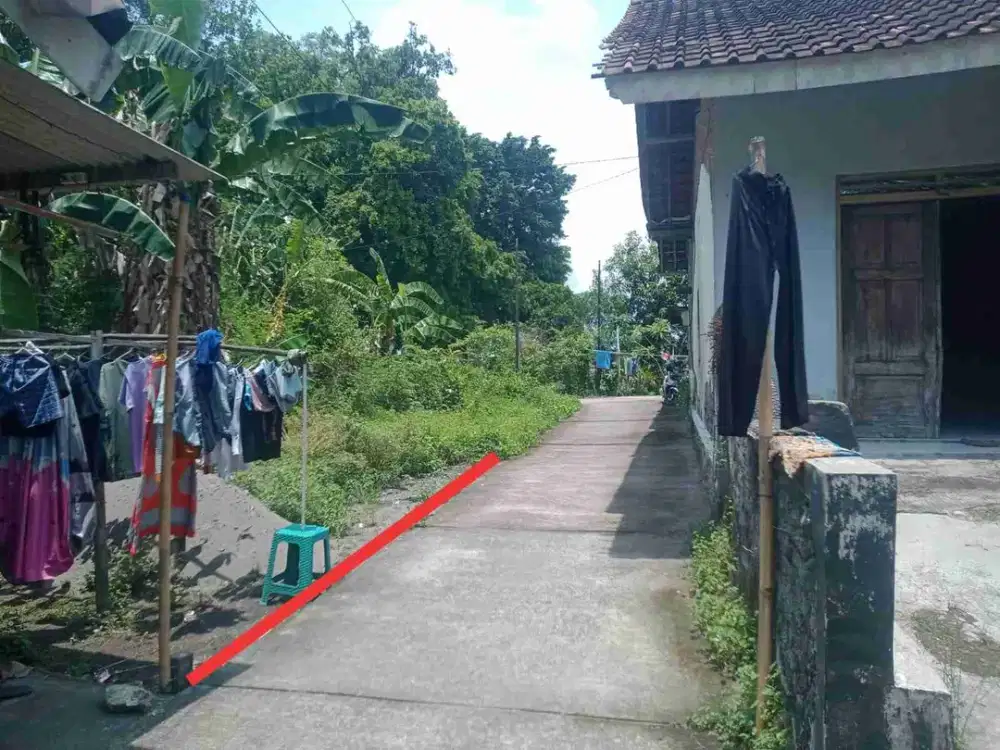 Tanah Pekarangan Berbah luas 196meter