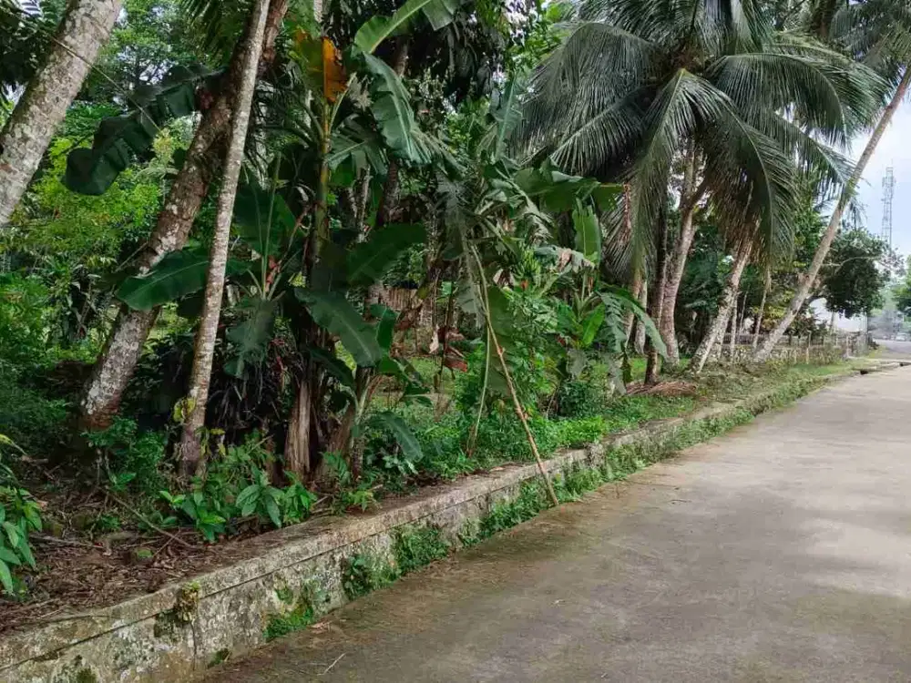 Dijual Tanah pekarangan Sapen Manisrenggo Klaten