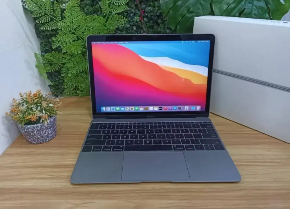 MacBook Retina 12inc 2017
Intel Core M3/8Gb/SSD 256Gb/CC 208 Normal