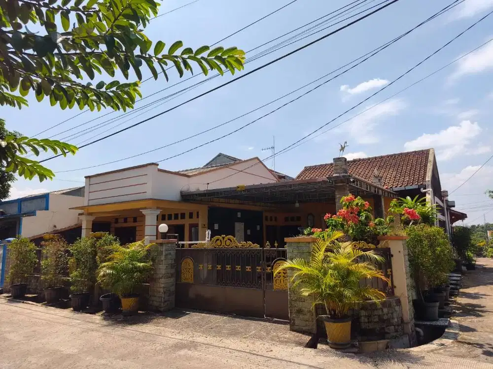 Sewa kontrak rumah atsiri permai citayam