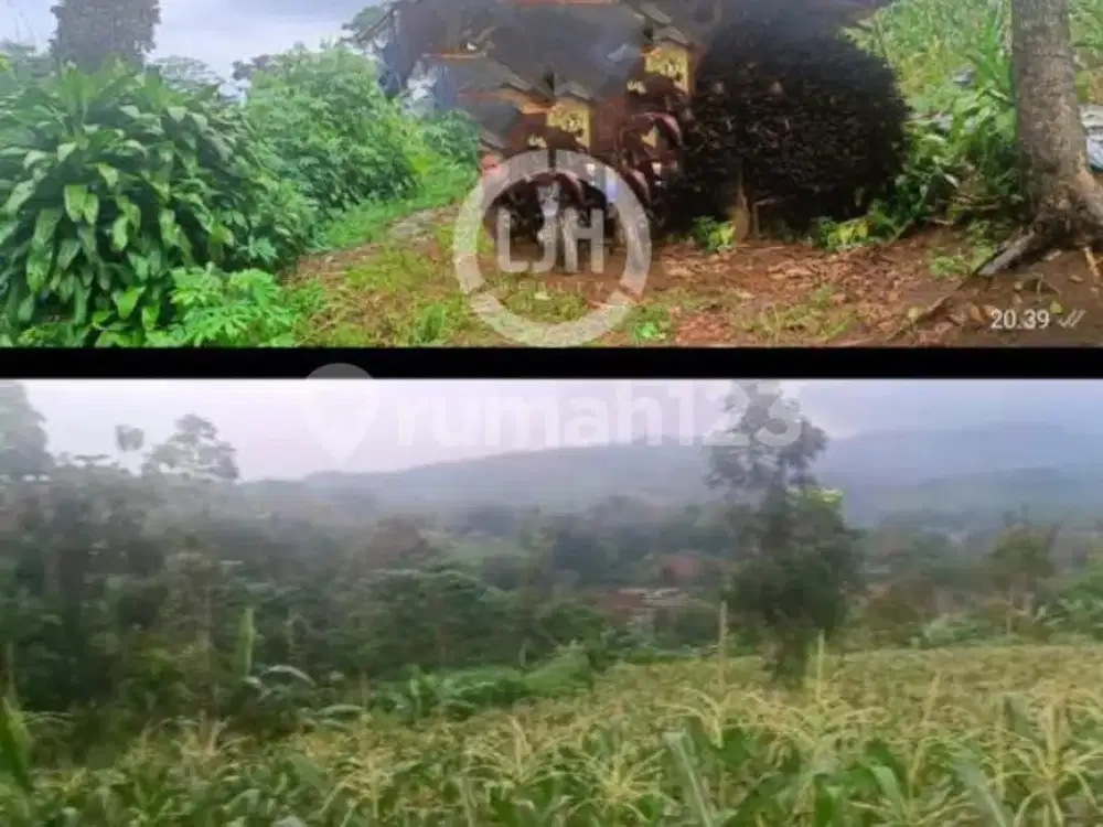 Dijual tanah bencony cireunghas sukabumi