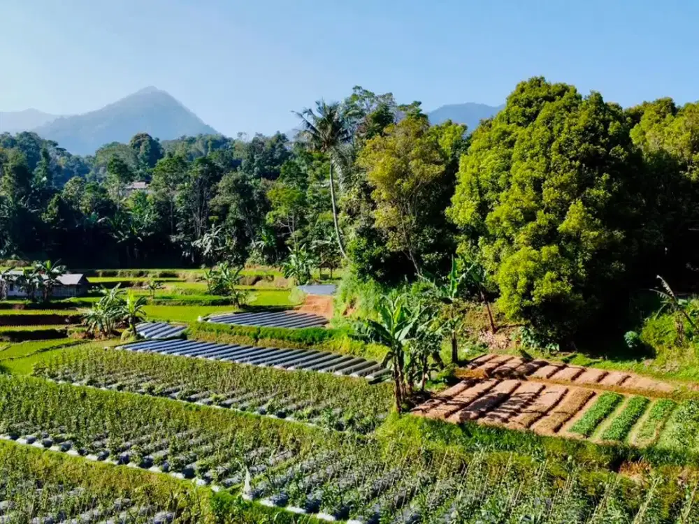 Dijual Tanah Bisa Beli Sebagian di Kampung Wisata Tajur Purwakarta