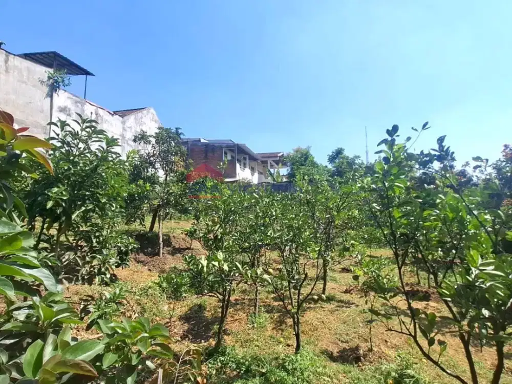 Jual Tanah Dekat UB Malang Area Favorit untuk Kos dan Kuliner
