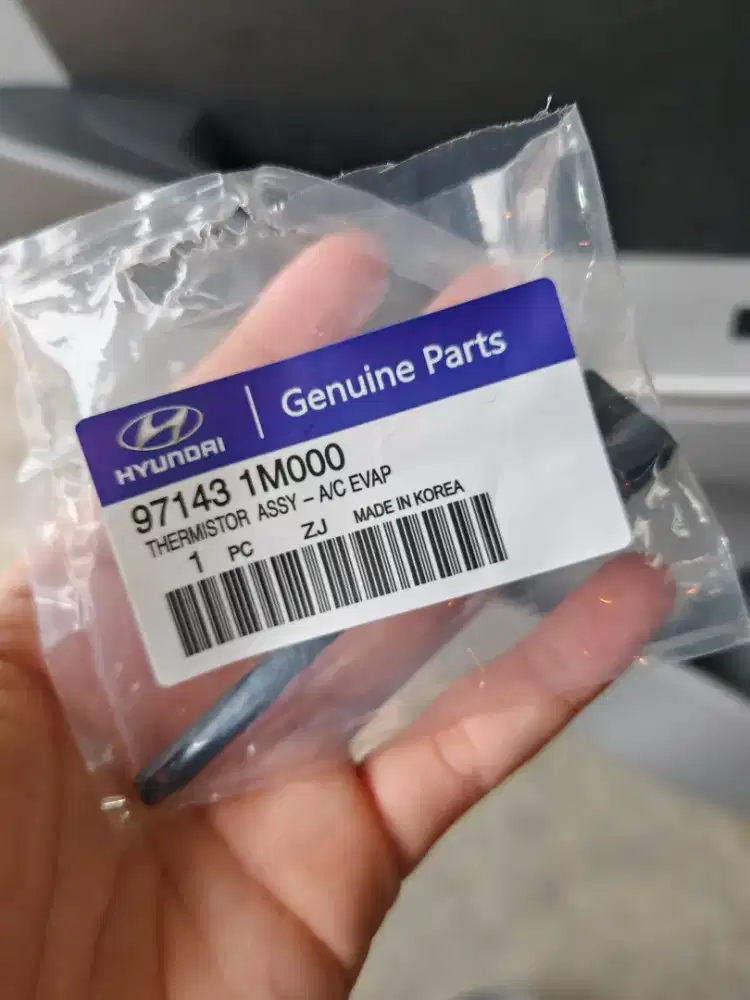 Sensor Thermistor Grand Avega