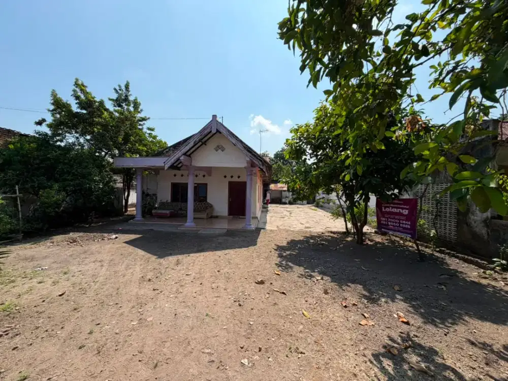 Rumah Strategis dan Murah di Kawasan Gudo, Jombang Dekat dengan SMPN 1 Gudo